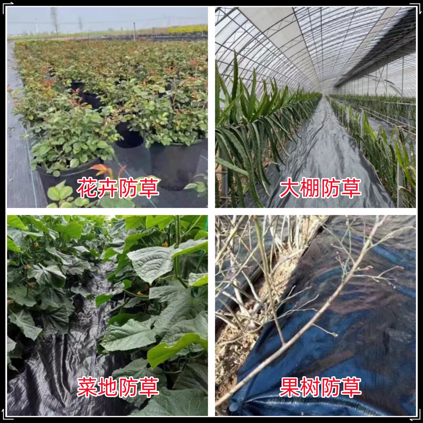 盘锦市黑白养殖膜防草布 - 厂家