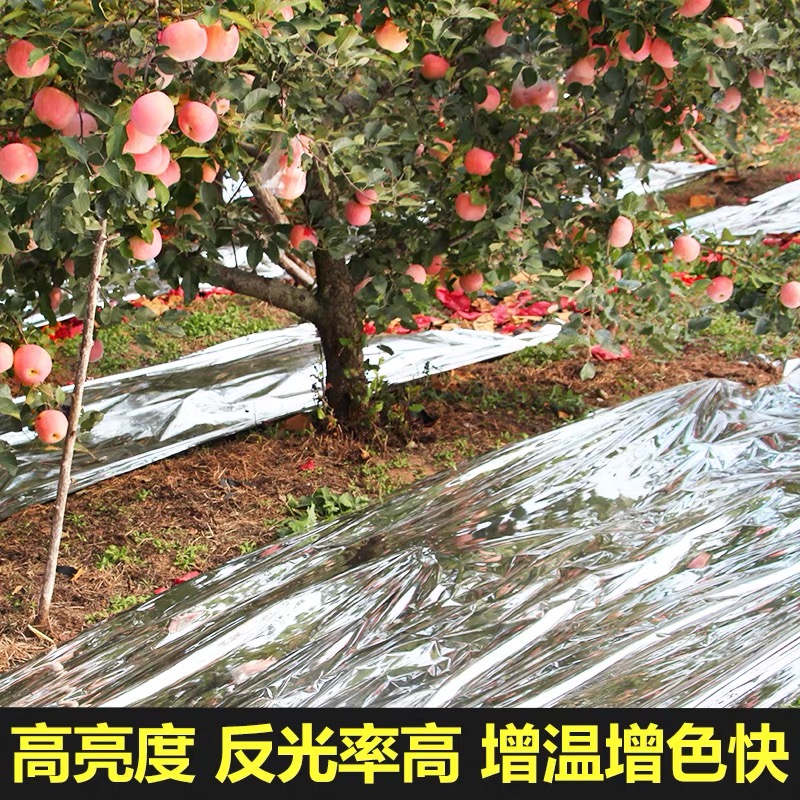 盘锦市塑料薄膜果树反光膜 - 方案